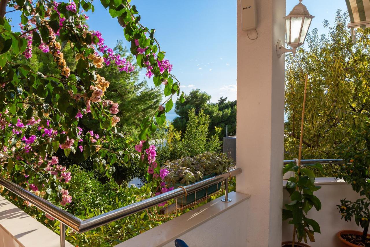 Villa Marko Stanici Exteriér fotografie
